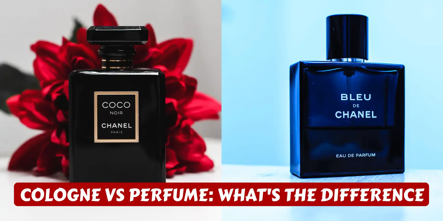 Cologne vs Perfume: what's the difference